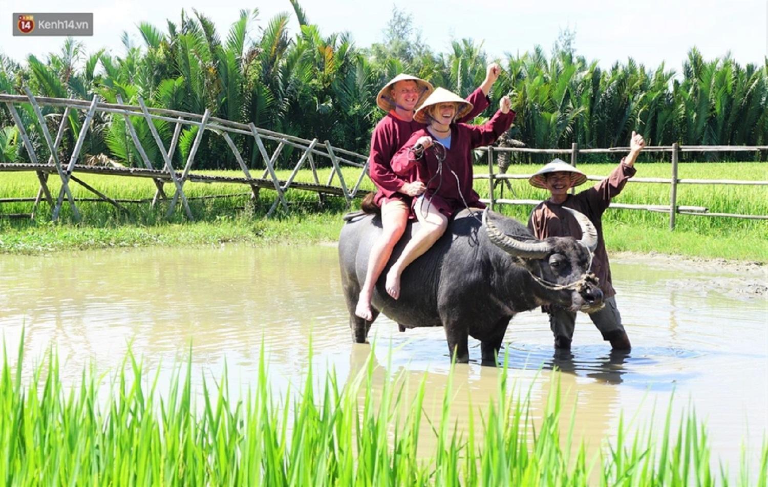 Tam Coc Sunshine Hostel Vu Lam Екстер'єр фото